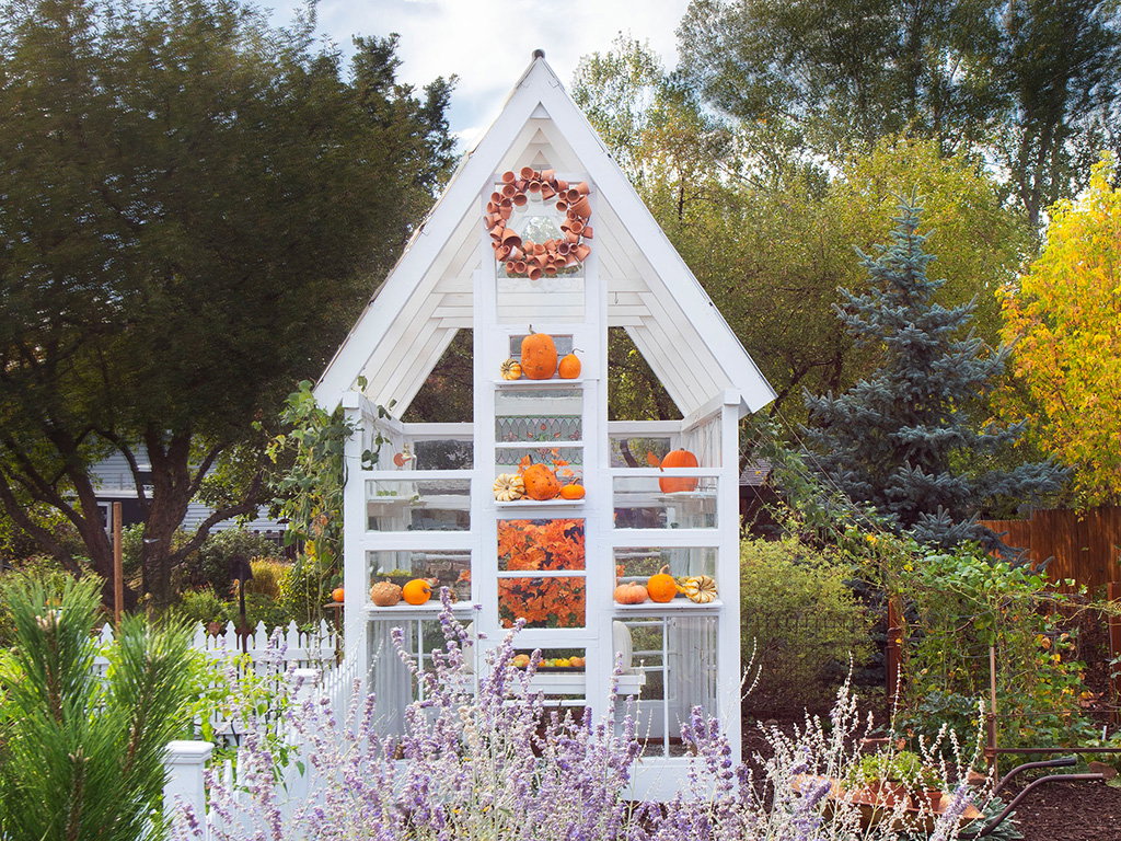 Fall in the Garden